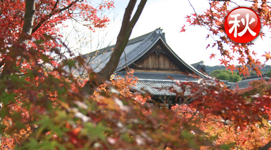 山里の秋（長老の里　紅葉狩り）